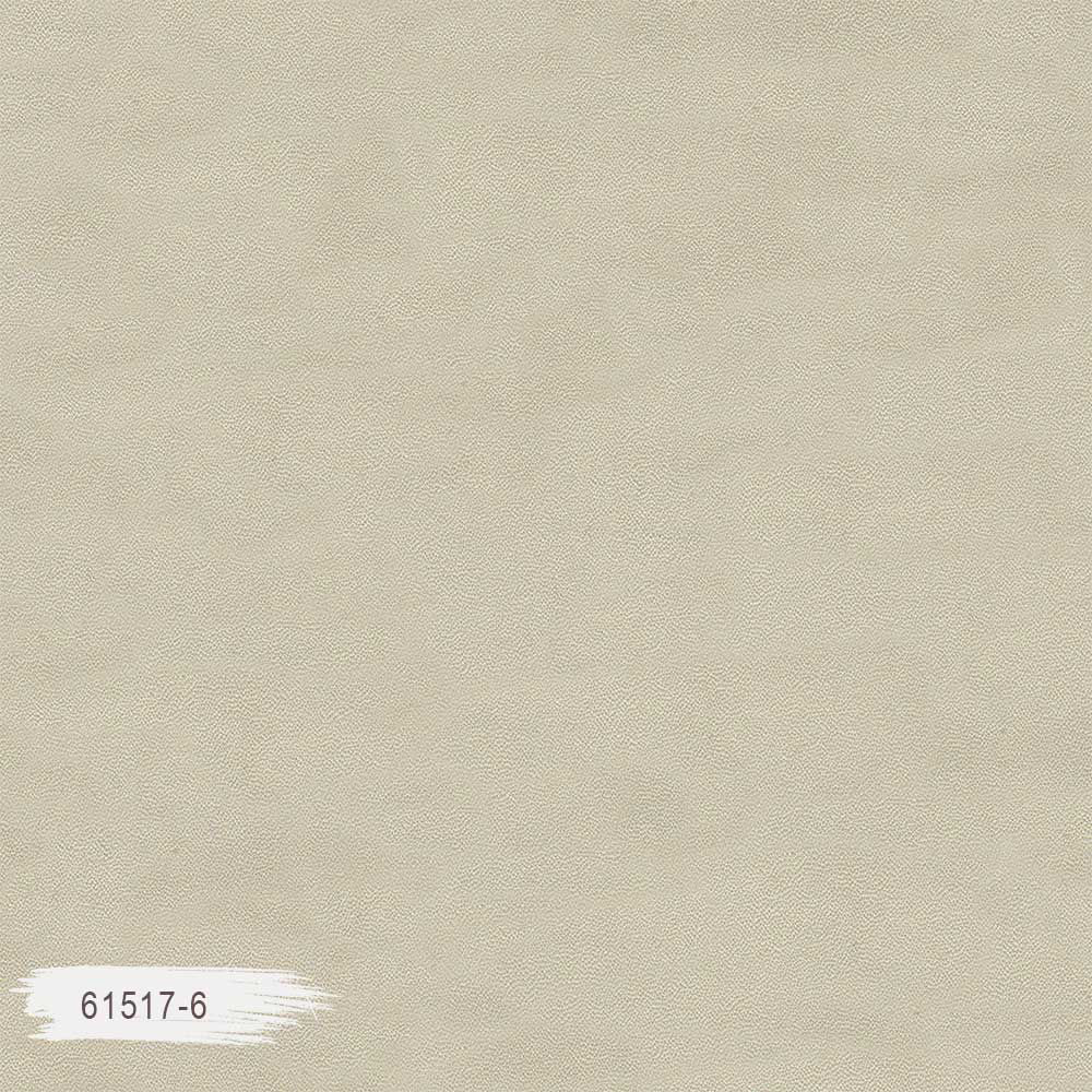 61517-6