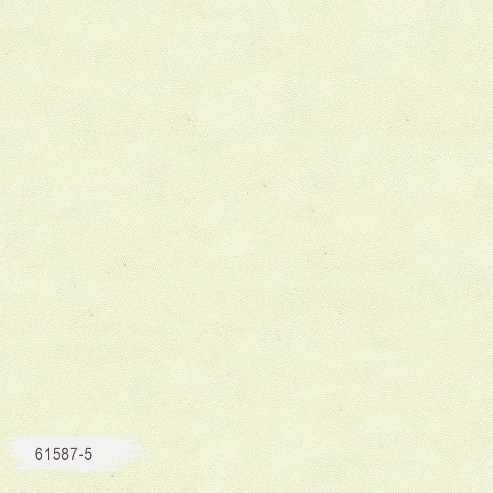 61587-5