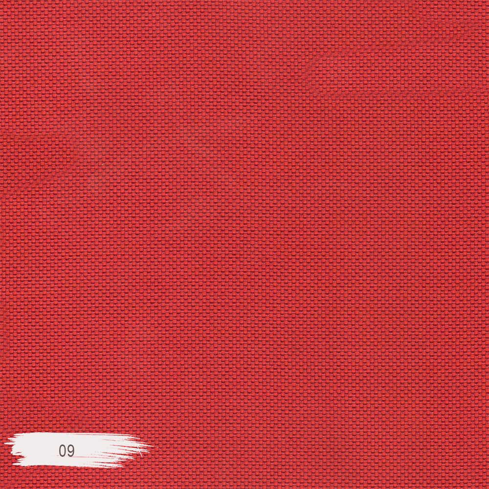 09