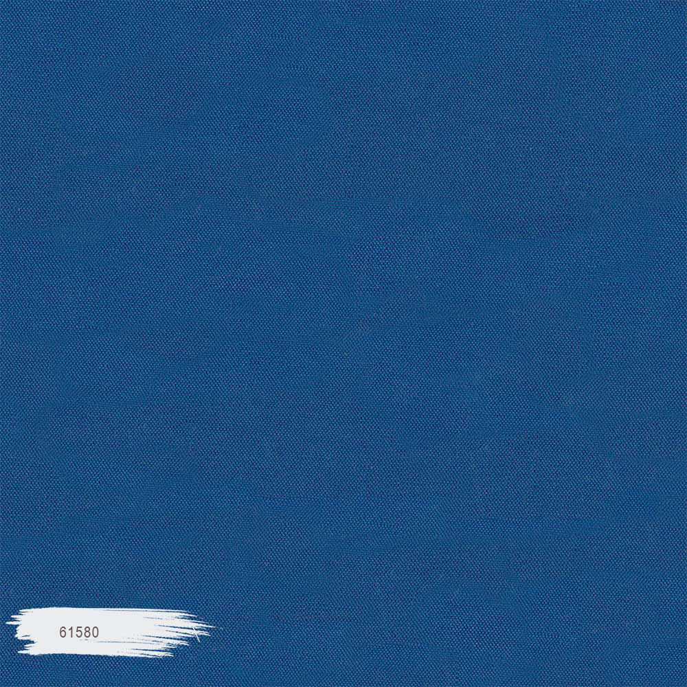 61580