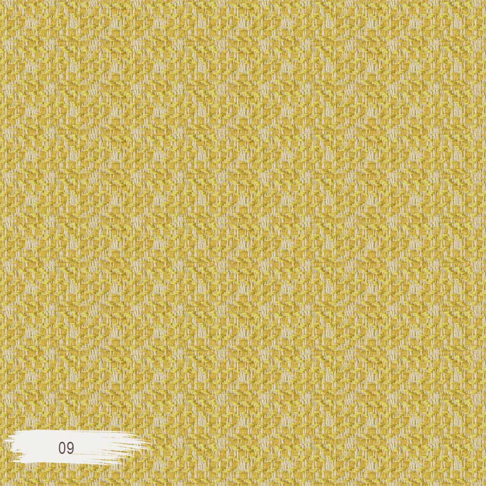 09