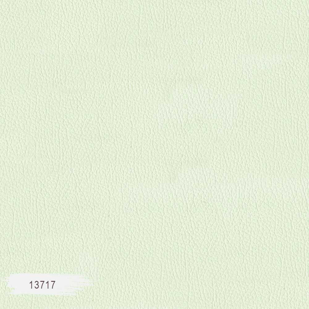 13717