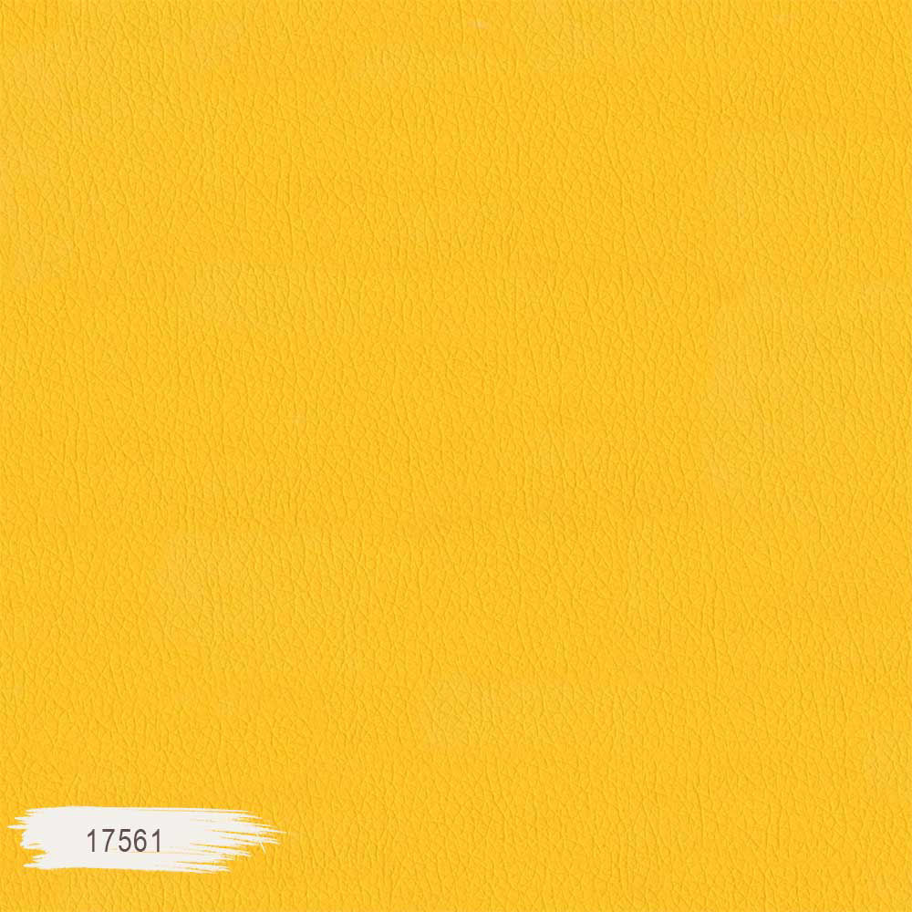 17561