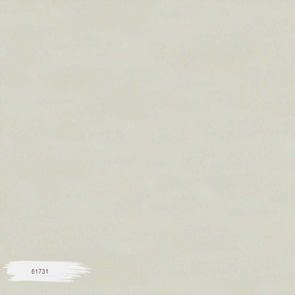 61731